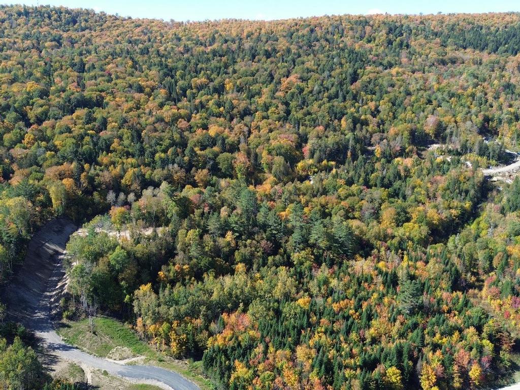 












Ch. des Bêtes-Puantes

,
Lac-Normand,







QC
G0X2C0

