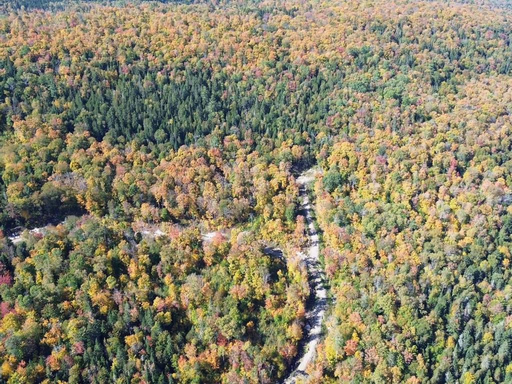 












Ch. des Bêtes-Puantes

,
Lac-Normand,







QC
G0X2C0

