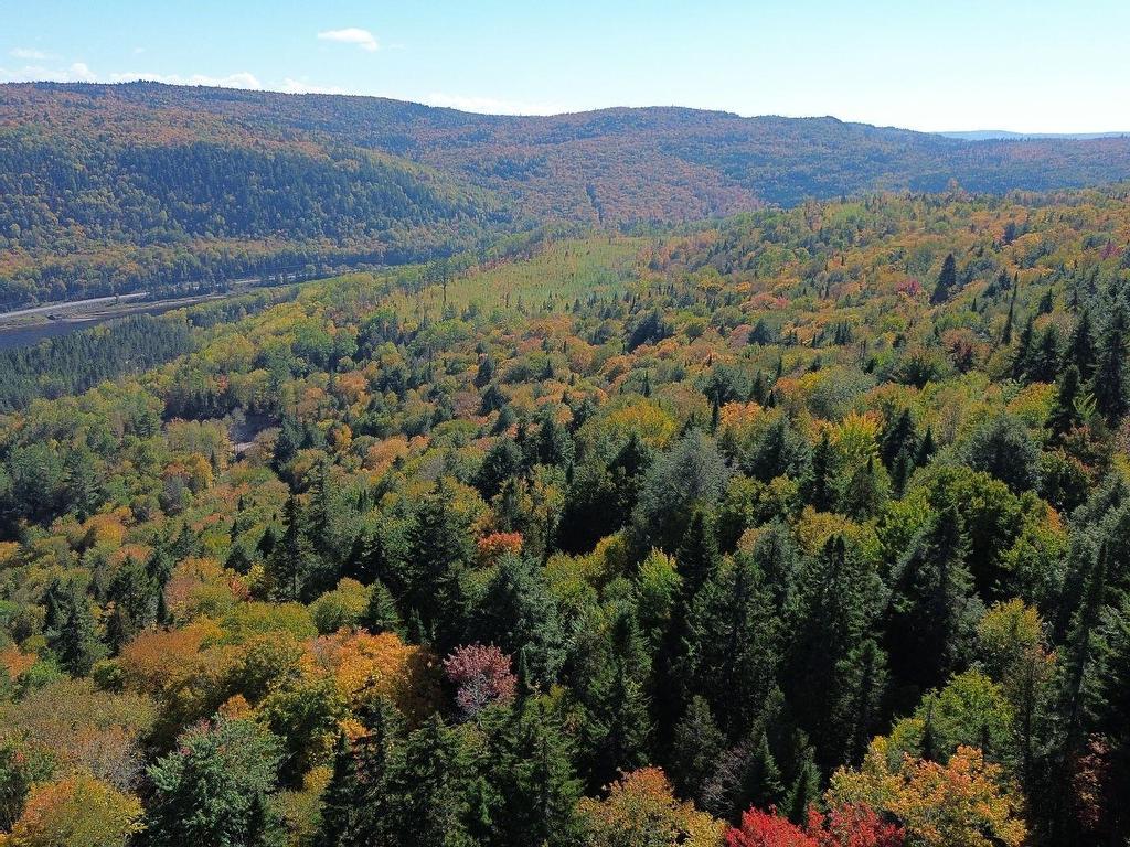












Ch. des Bêtes-Puantes

,
Lac-Normand,







QC
G0X2C0

