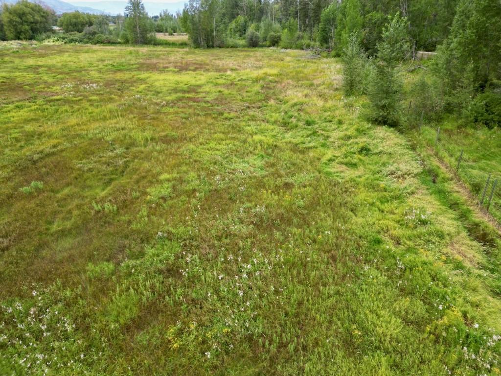 









3850


Swamp

Road,
Kelowna,







BC
V1W 4M9

