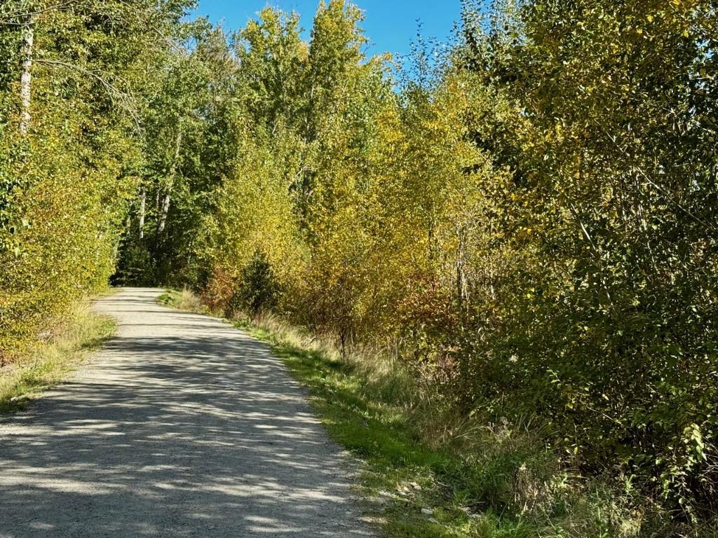 









3850


Swamp

Road,
Kelowna,







BC
V1W 4M9

