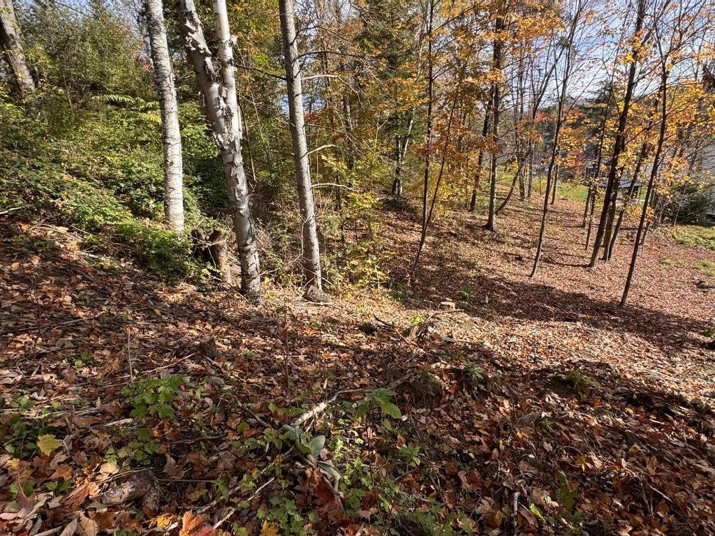 









19


Rue des Berges

,
Sainte-Adèle,







QC
J8B1B5

