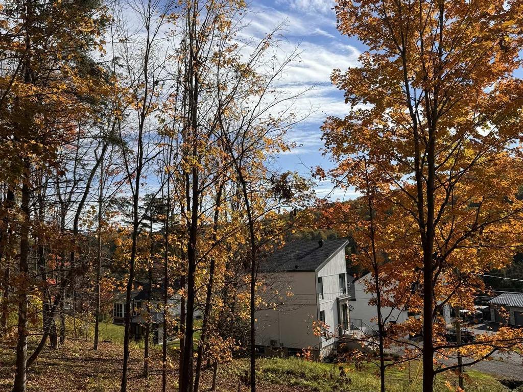 









19


Rue des Berges

,
Sainte-Adèle,







QC
J8B1B5


