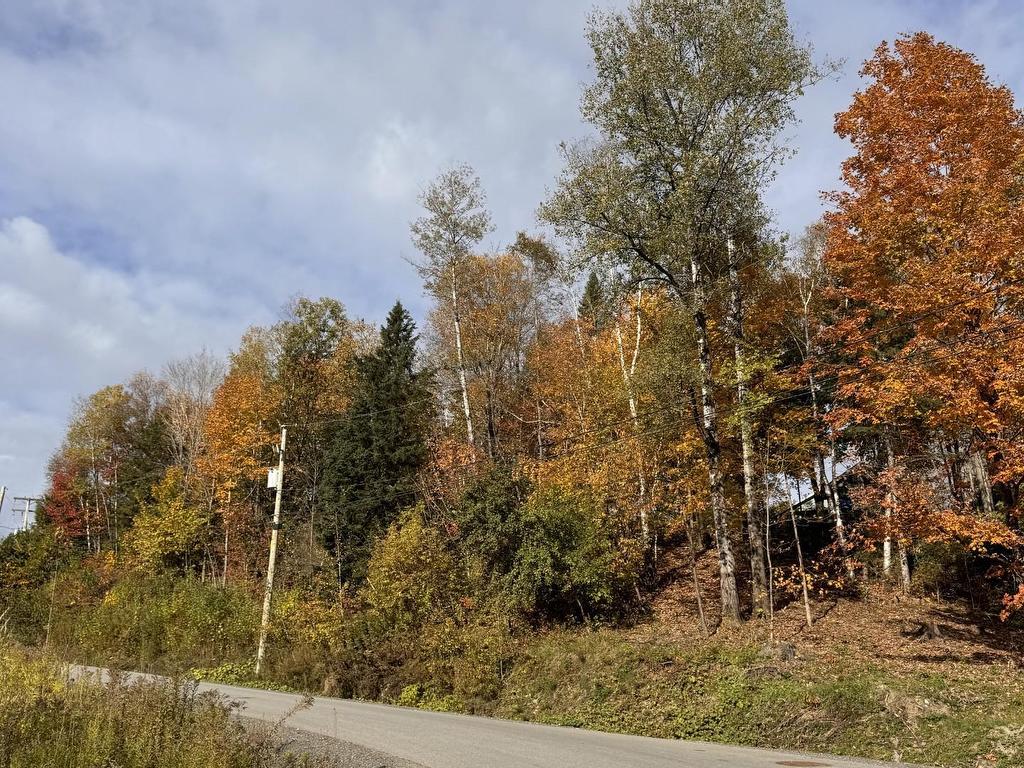 









19


Rue des Berges

,
Sainte-Adèle,







QC
J8B1B5

