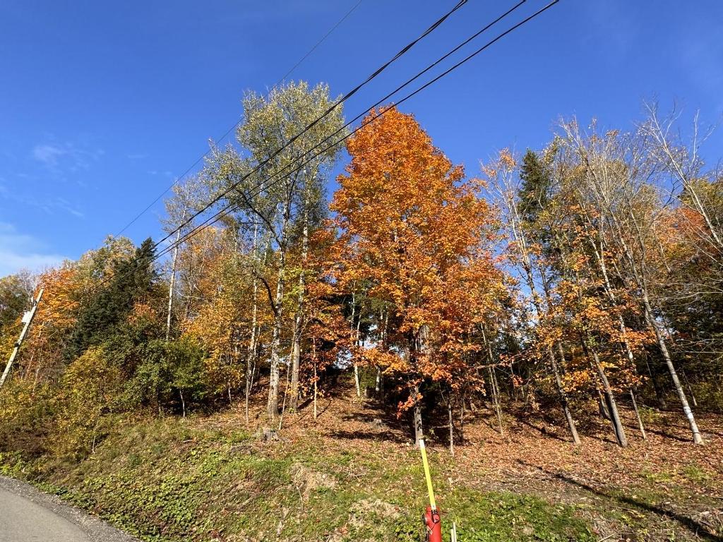 









19


Rue des Berges

,
Sainte-Adèle,







QC
J8B1B5

