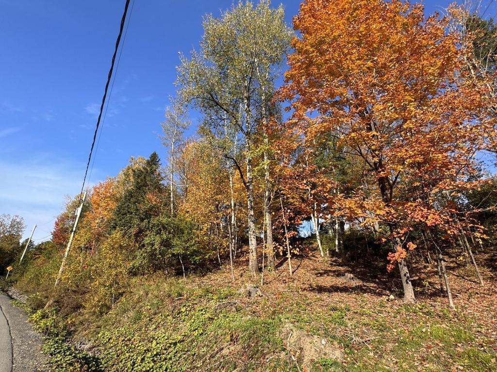 









19


Rue des Berges

,
Sainte-Adèle,







QC
J8B1B5

