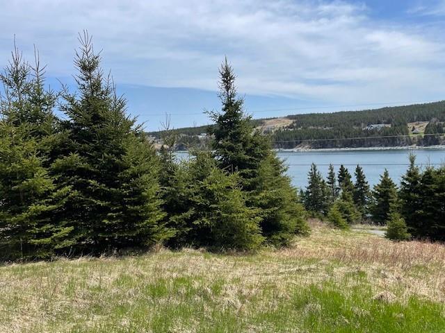 









5


Point

Road,
Bristol's Hope,







NL
A1Y 0A7

