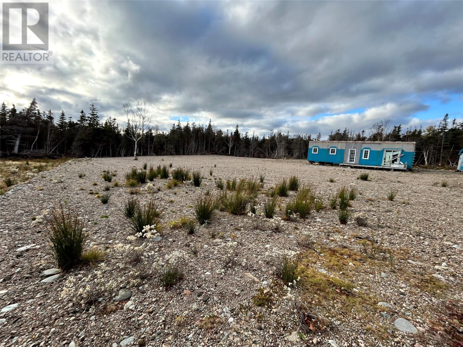 












01 Old TCH Road

,
Campbells Brook,







Newfoundland & Labrador
A0N1J0

