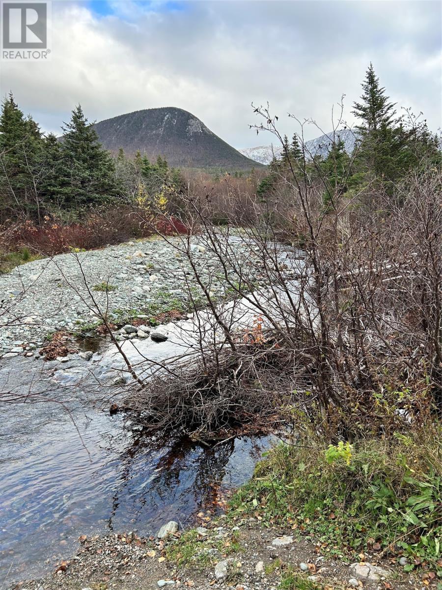 












01 Old TCH Road

,
Campbells Brook,







Newfoundland & Labrador
A0N1J0

