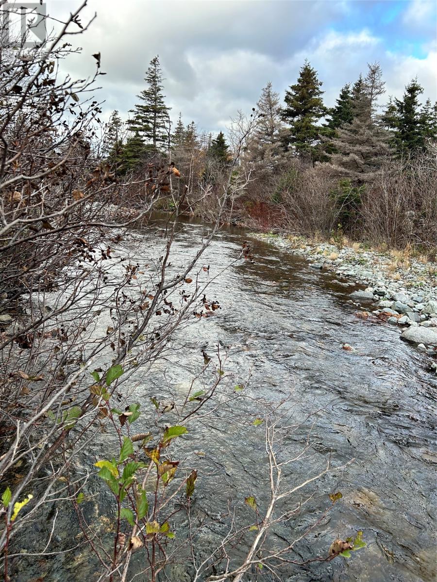 












01 Old TCH Road

,
Campbells Brook,







Newfoundland & Labrador
A0N1J0

