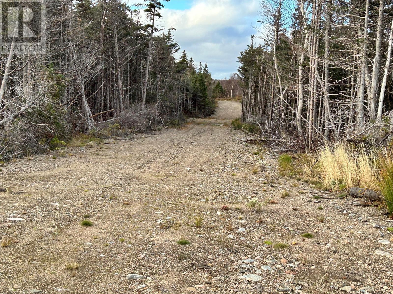 












01 Old TCH Road

,
Campbells Brook,







Newfoundland & Labrador
A0N1J0

