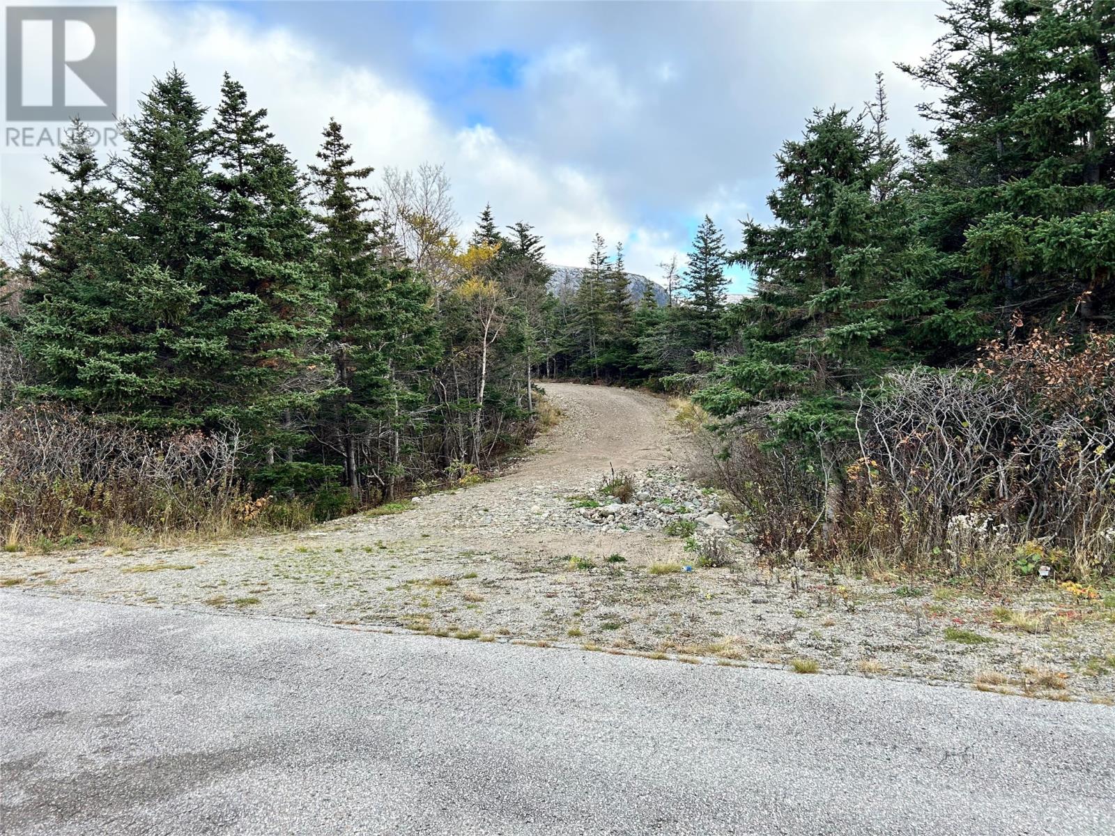 












01 Old TCH Road

,
Campbells Brook,







Newfoundland & Labrador
A0N1J0

