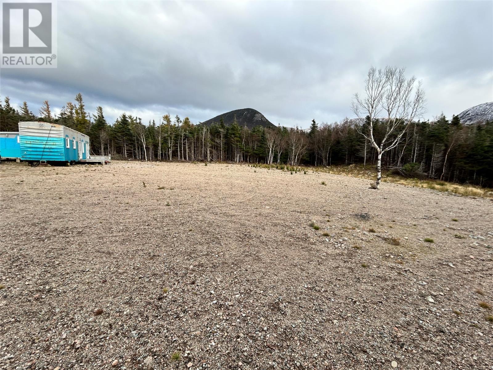 












01 Old TCH Road

,
Campbells Brook,







Newfoundland & Labrador
A0N1J0

