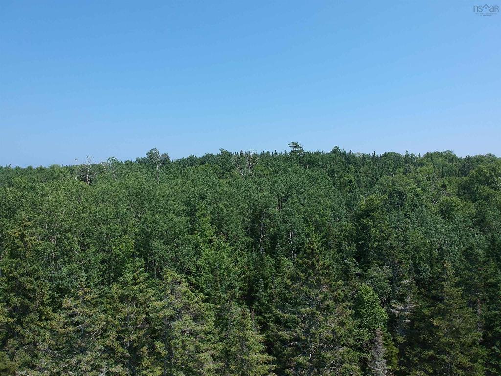 












41A Widow Point Loop

,
Inverness,







NS
B0E 1N0

