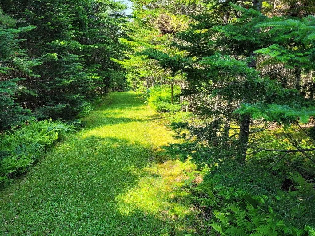 












41A Widow Point Loop

,
Inverness,







NS
B0E 1N0

