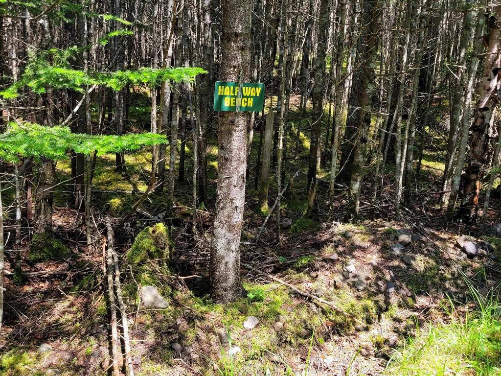 












41A Widow Point Loop

,
Inverness,







NS
B0E 1N0

