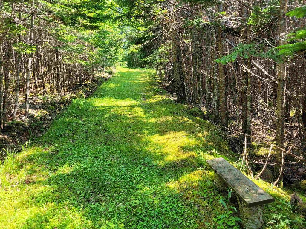 












41A Widow Point Loop

,
Inverness,







NS
B0E 1N0

