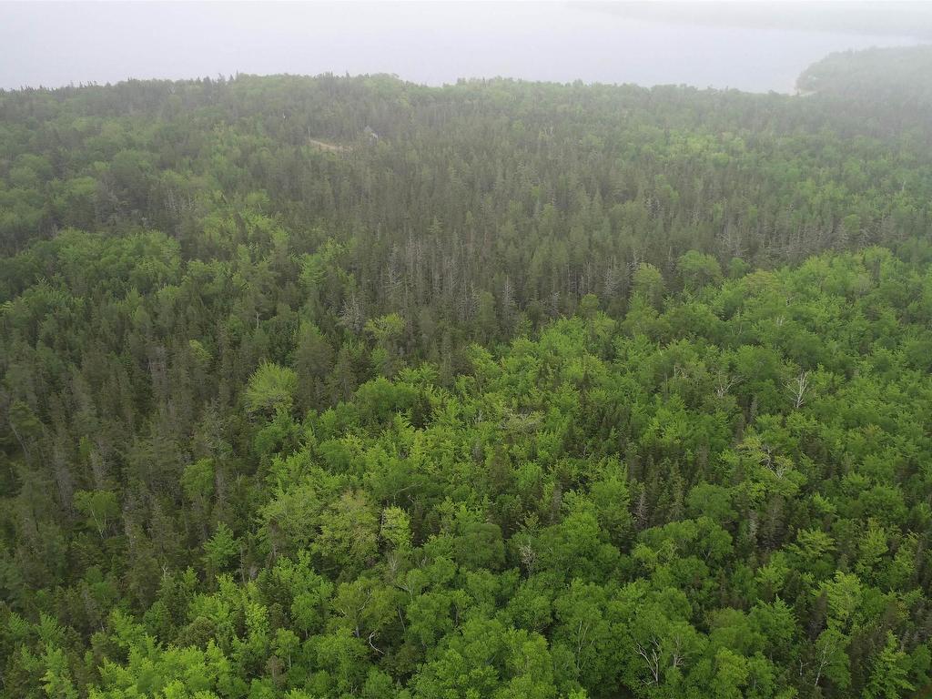 












41A Widow Point Loop

,
Inverness,







NS
B0E 1N0

