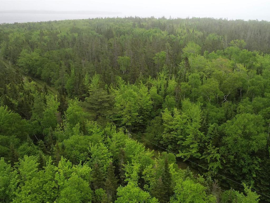 












41A Widow Point Loop

,
Inverness,







NS
B0E 1N0

