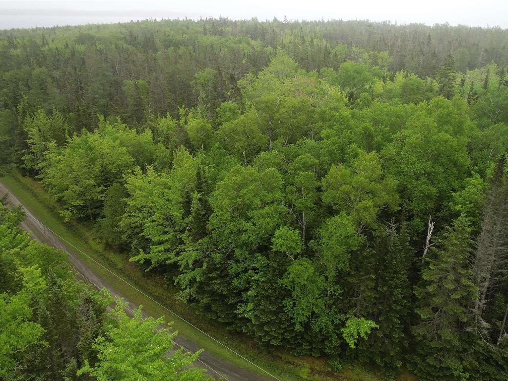 












41A Widow Point Loop

,
Inverness,







NS
B0E 1N0

