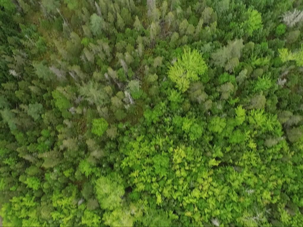 












41A Widow Point Loop

,
Inverness,







NS
B0E 1N0

