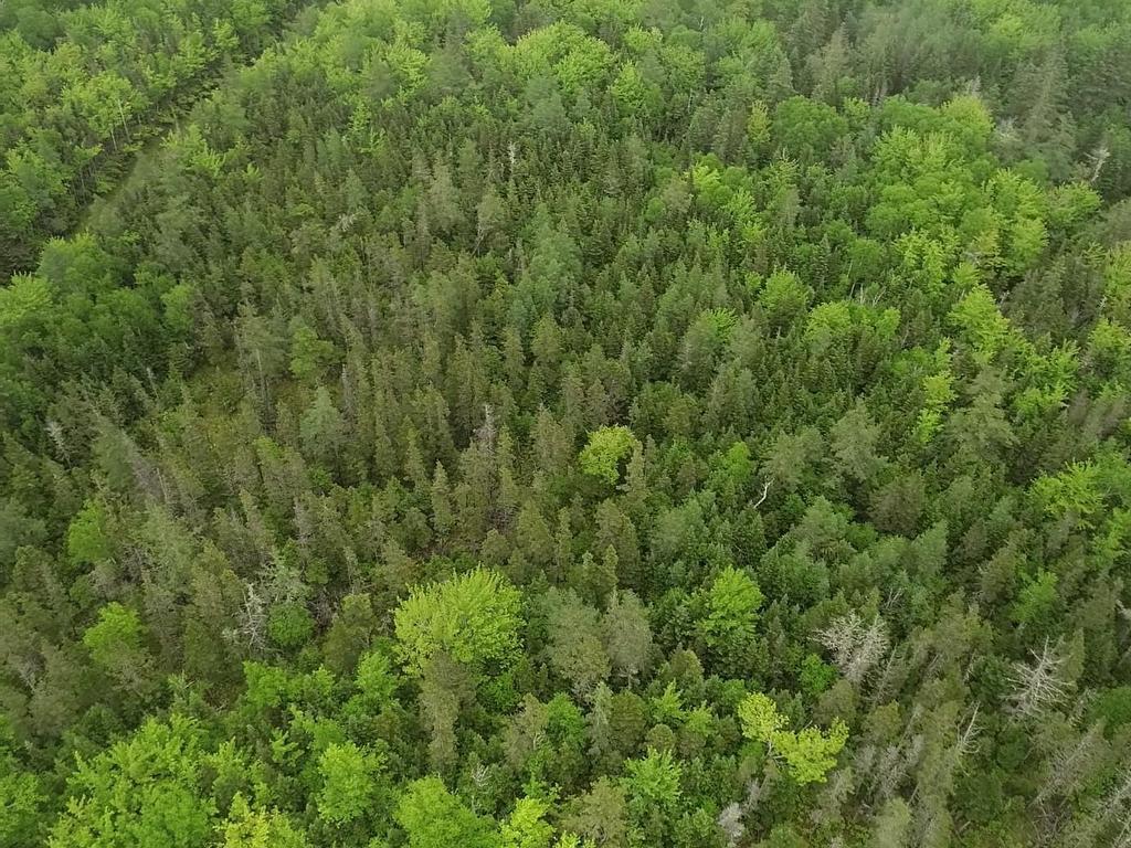 












41A Widow Point Loop

,
Inverness,







NS
B0E 1N0

