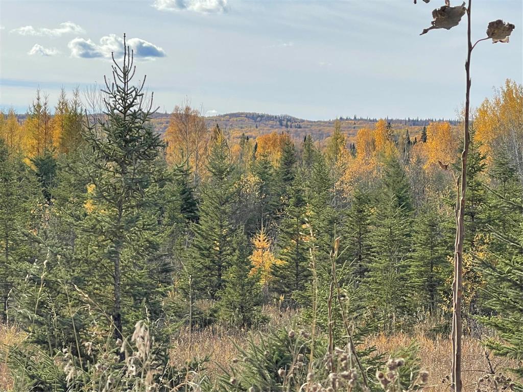 












10 Hwy South of Cowan Highway

,
Swan River,




Manitoba
R0L0L0

