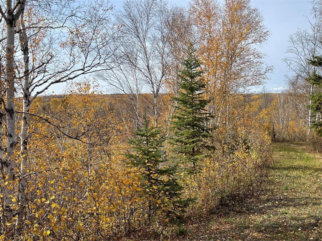 












10 Hwy South of Cowan Highway

,
Swan River,




Manitoba
R0L0L0

