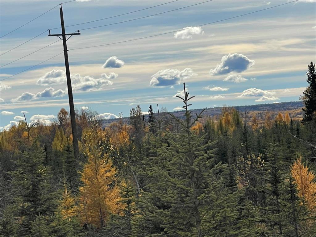 












10 Hwy South of Cowan Highway

,
Swan River,




Manitoba
R0L0L0

