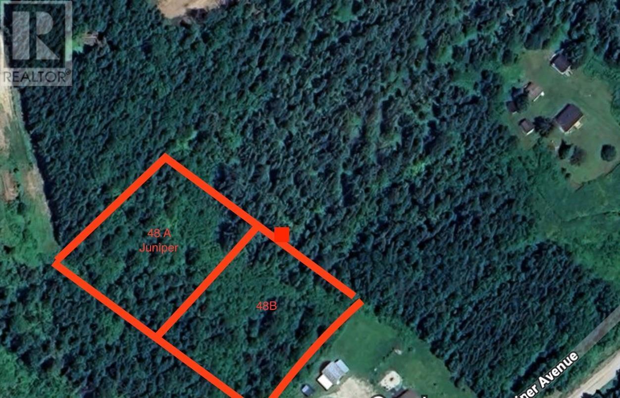 












48A JUNIPER Avenue

,
CORMACK,







Newfoundland & Labrador
A8A2M7

