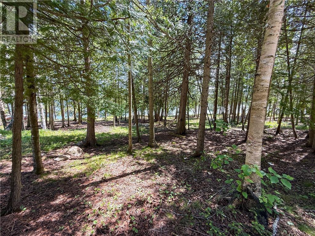 












1278 Ice Lake Drive

,
Gore Bay, Manitoulin Island,




Ontario
P0P1H0

