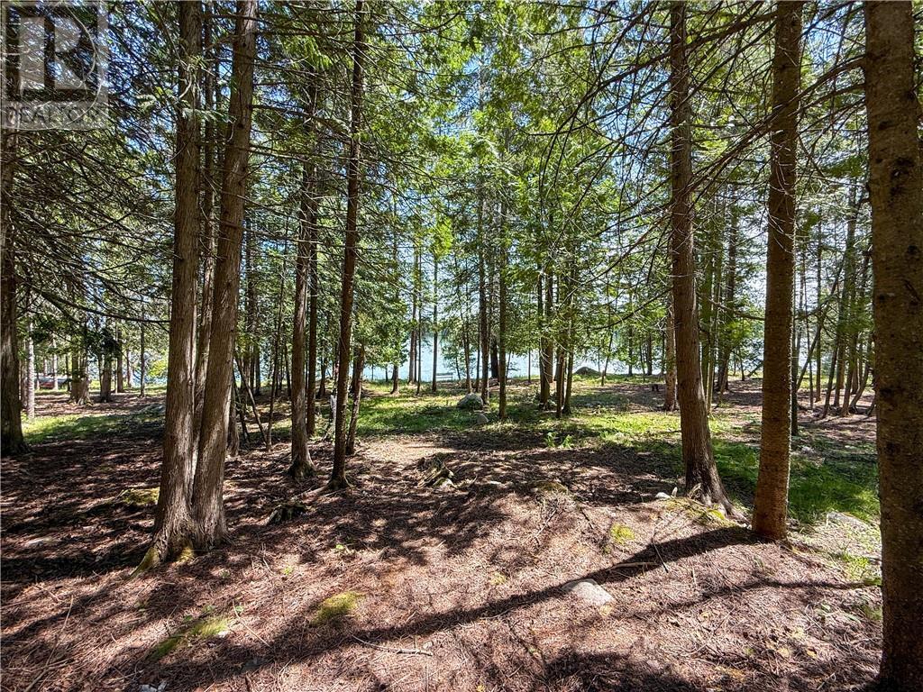 












1278 Ice Lake Drive

,
Gore Bay, Manitoulin Island,




Ontario
P0P1H0

