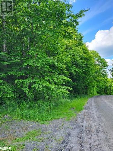 Welcome to Haines Lake Road