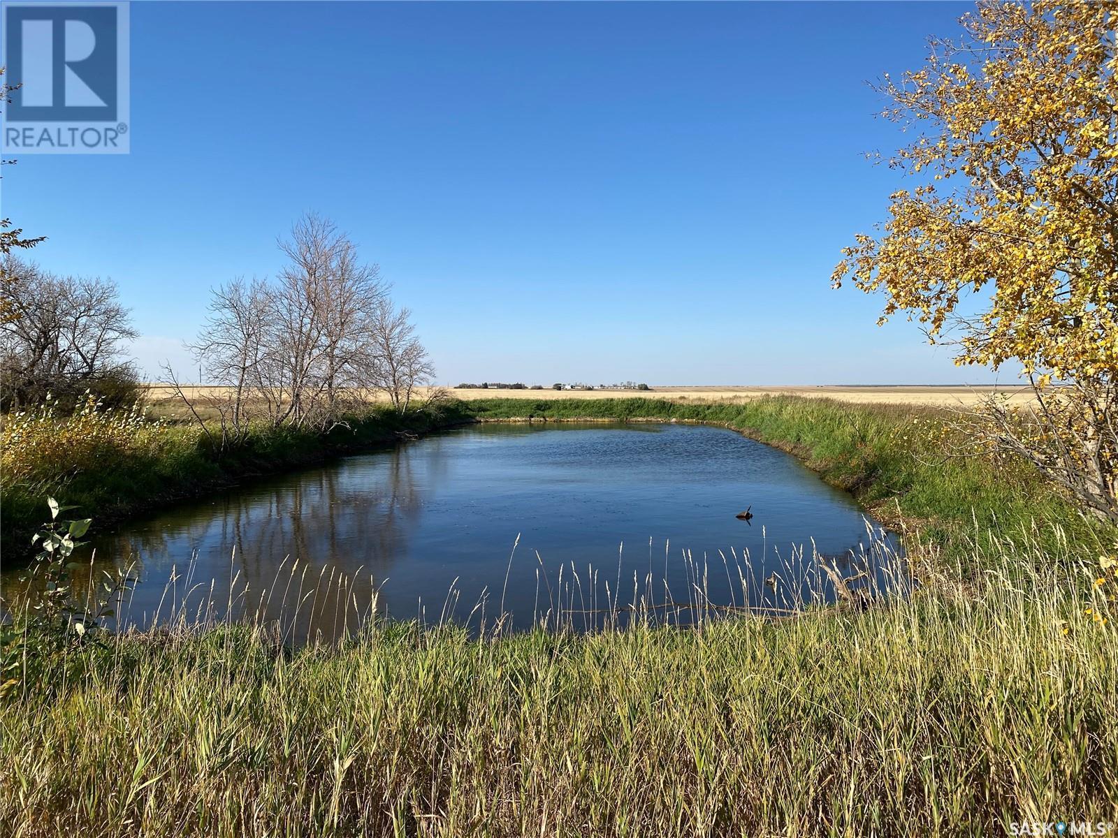 












18 acres SW 24-29-21W3

,
Kindersley Rm No. 290,




Saskatchewan
S0L1S0

