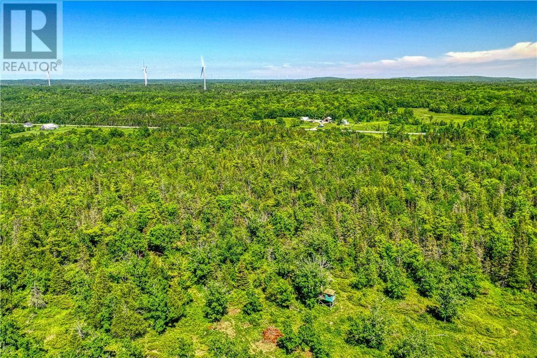 












4202 Highway 540

,
Little Current,




Ontario
P0P1K0

