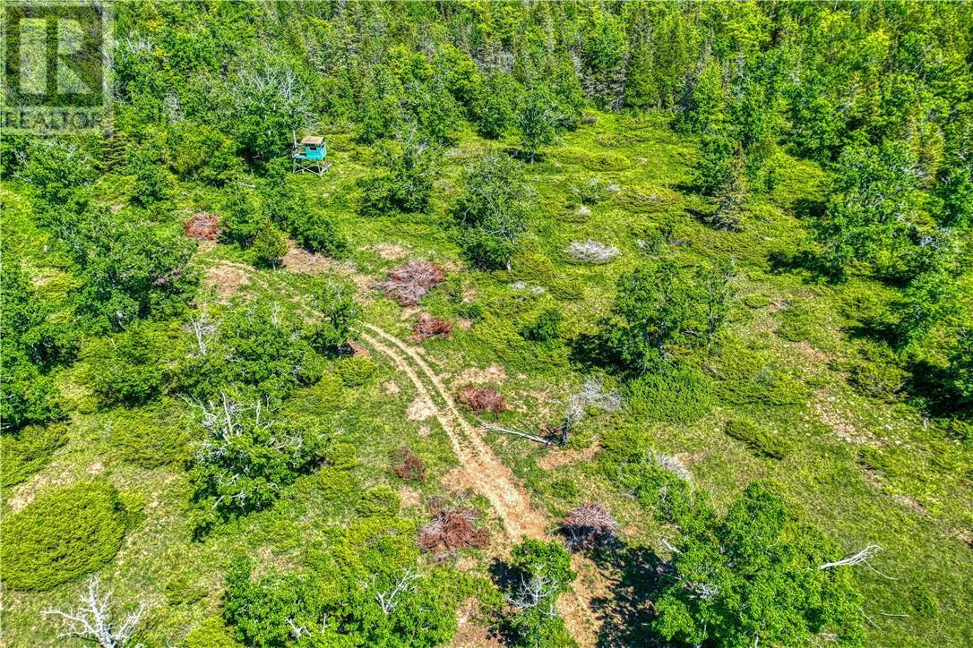 












4202 Highway 540

,
Little Current,




Ontario
P0P1K0

