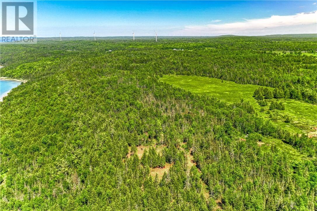 












4202 Highway 540

,
Little Current,




Ontario
P0P1K0

