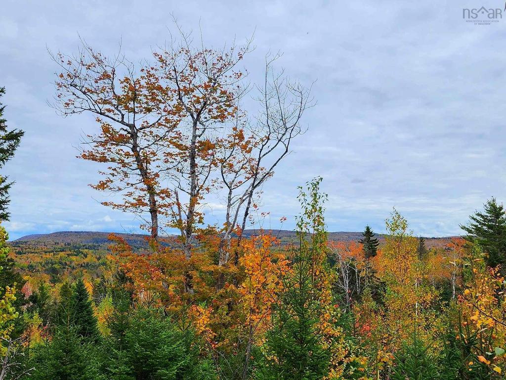 












Lot 3B Highway 4

,
Telford,







NS
B0K 1G0

