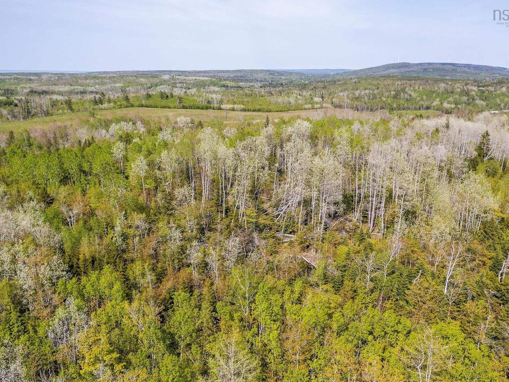 












Lot 3B Highway 4

,
Telford,







NS
B0K 1G0

