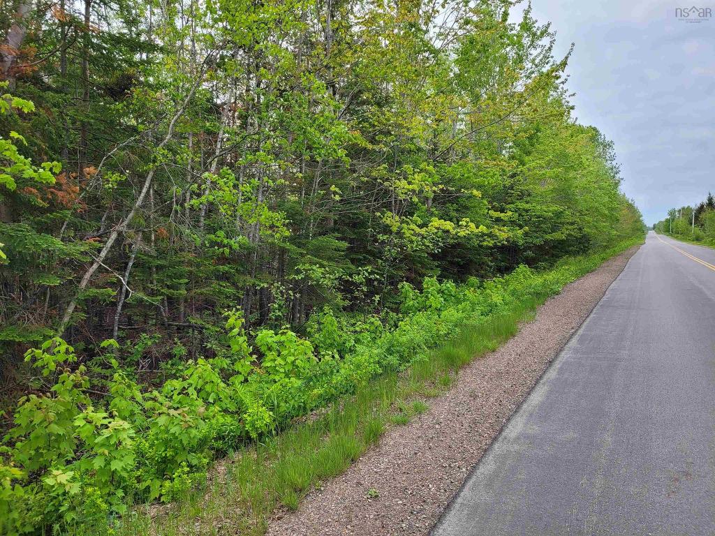 












Lot Tattrie Settlement Road

,
French River,







NS
B0K 1V0

