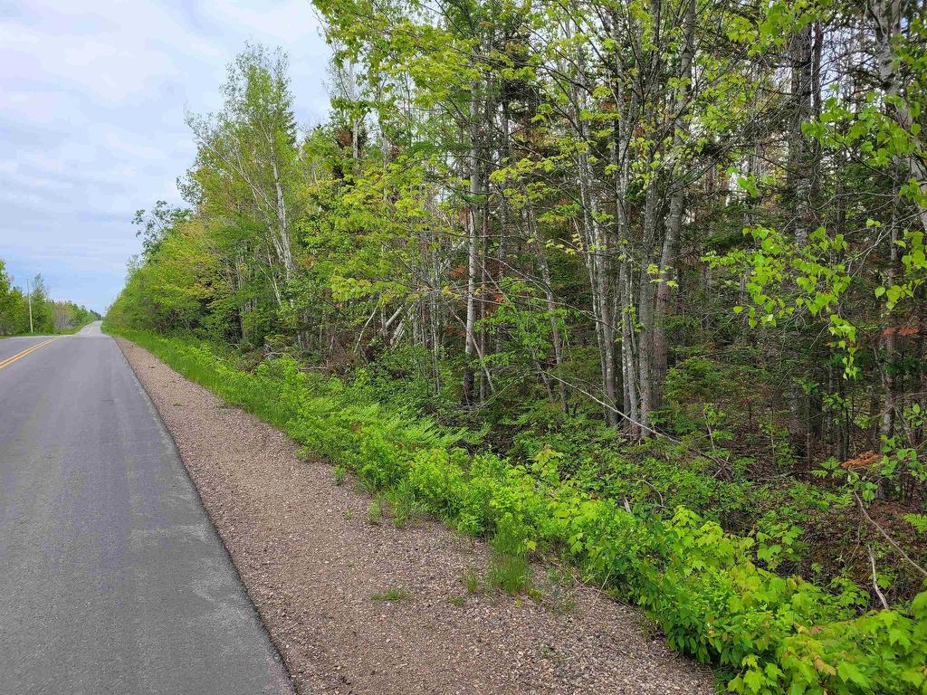 












Lot 2 Tattrie Settlement Road

,
French River,







NS
B0K 1V0

