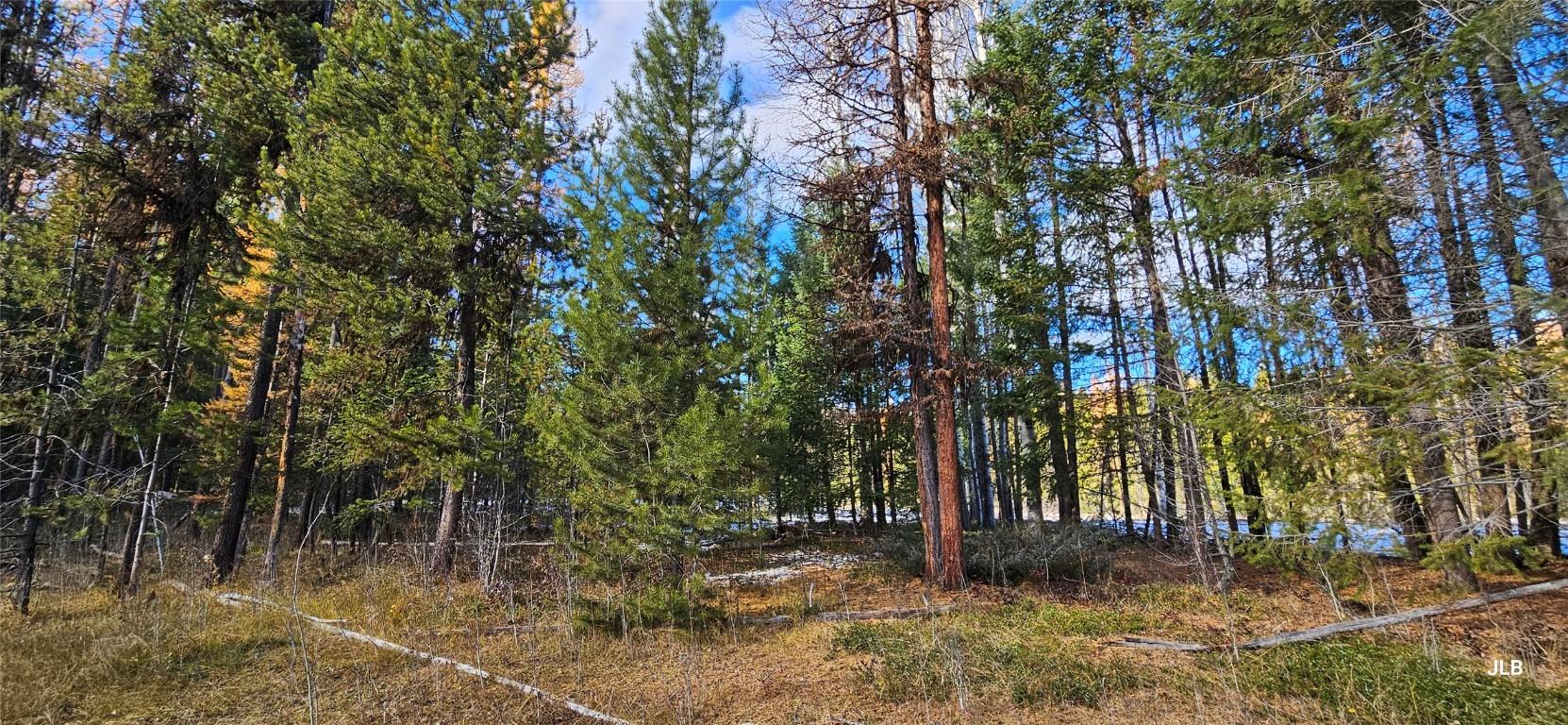 









2120


FISH LAKE

Road,
Rock Creek,




BC
V0H 1Y0

