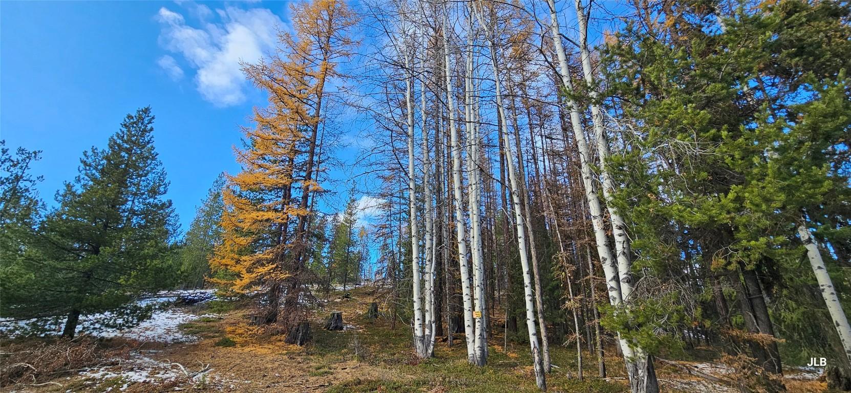 









2120


FISH LAKE

Road,
Rock Creek,




BC
V0H 1Y0


