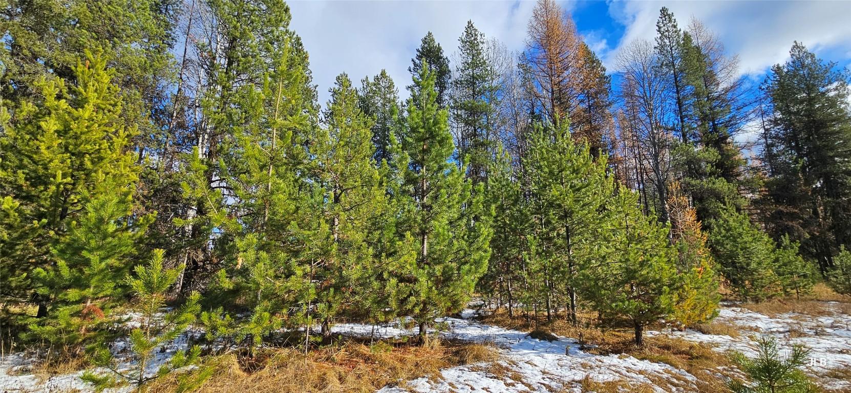 









2120


FISH LAKE

Road,
Rock Creek,




BC
V0H 1Y0

