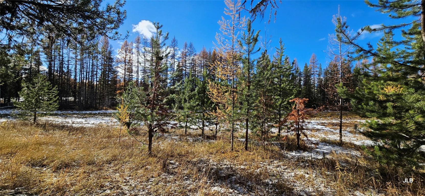 









2120


FISH LAKE

Road,
Rock Creek,




BC
V0H 1Y0

