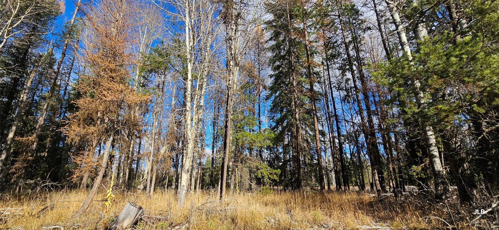 









2120


FISH LAKE

Road,
Rock Creek,




BC
V0H 1Y0

