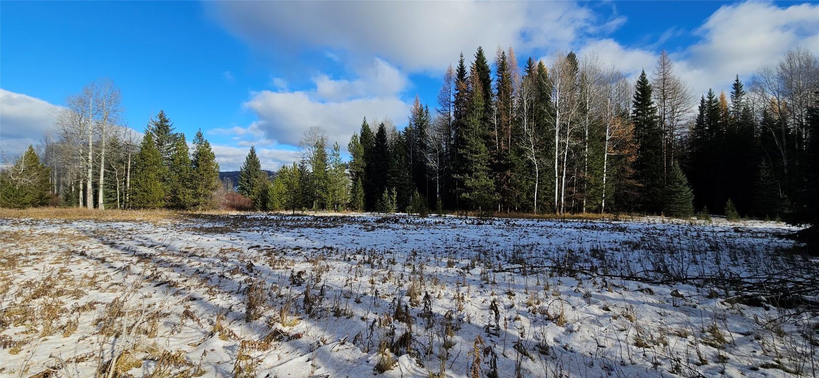 









2120


FISH LAKE

Road,
Rock Creek,




BC
V0H 1Y0

