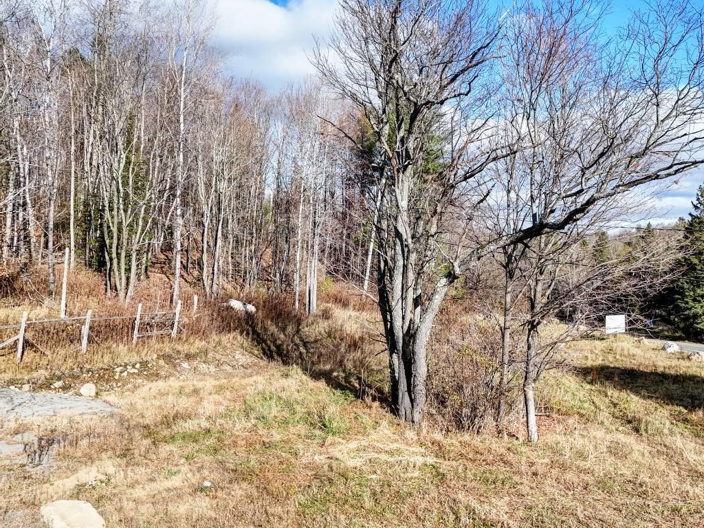 









7000


Route Principale

,
Wentworth-Nord,







QC
J0T1Y0

