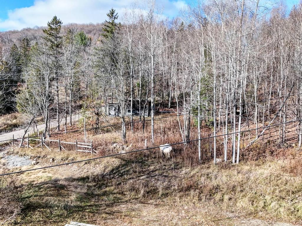 









7000


Route Principale

,
Wentworth-Nord,







QC
J0T1Y0

