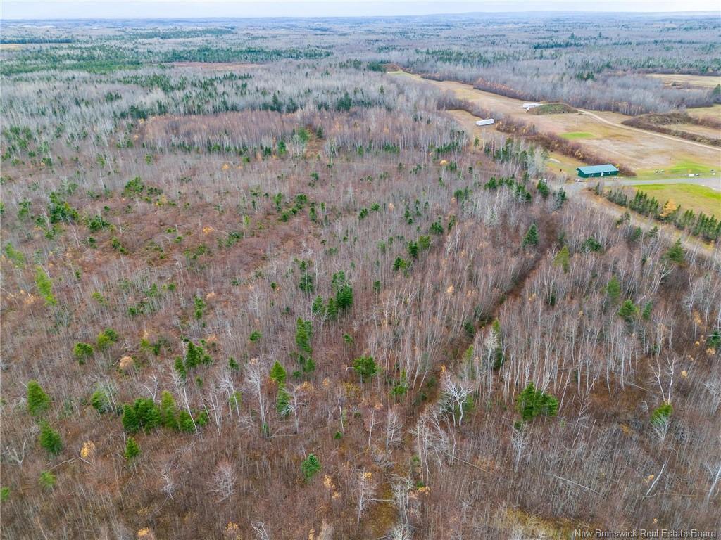 









Lot


Renauds Mills

RD,
Saint-Antoine,







NB
E4V 2X7


